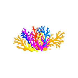 Wild Neon Branch Coral